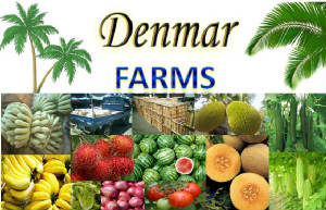 denmar_farms_maina.jpg